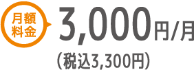 月額料金 税込3,300円